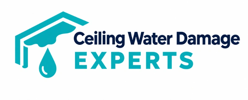 https://ceilingwaterdamagerepaircedarhill.com/wp-content/uploads/2026/10/Ceiling-Water-Damage-Cedar-Hill-Texax